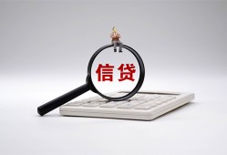 深圳33大额短借-深圳33哪里可以借钱-深圳33个人工程贷款